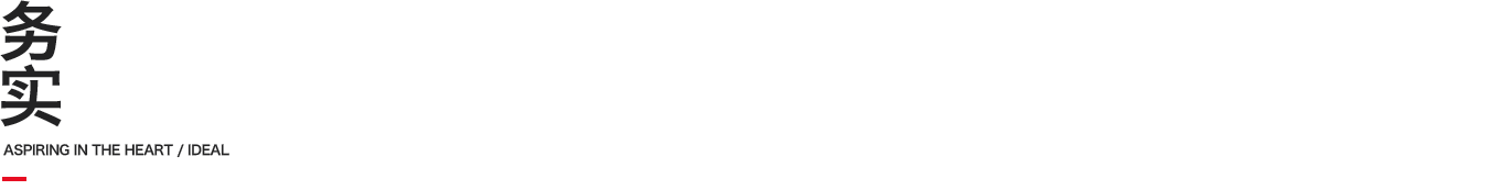 務(wù)實(shí)